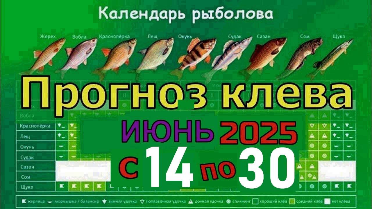 Календарь Клева Рыбы на ИЮНЬ 2025 Прогноз клева рыбы с 14 ИЮНЯ. Лунный Календарь рыбака