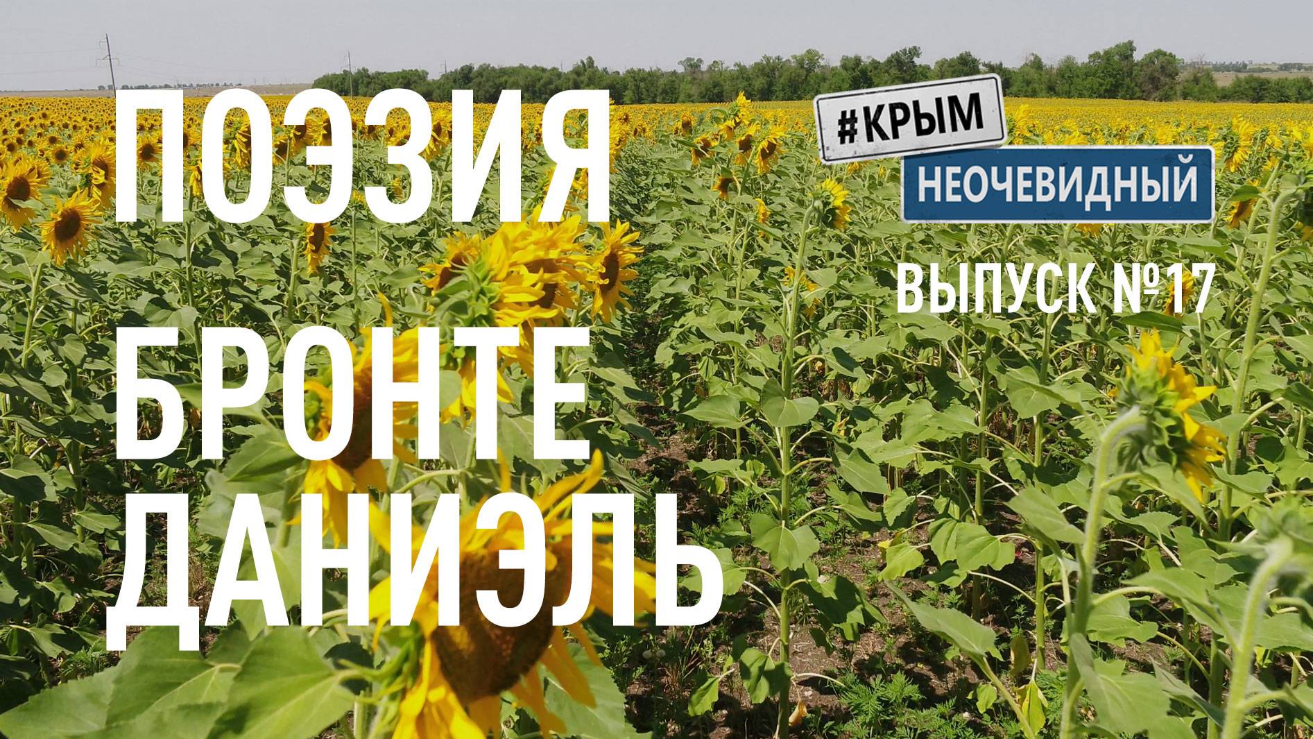 #КрымНеОчевидный: Тебе Крым (Глава 269). Поэзия Даниэль Бронте - Таким как ты все равно...