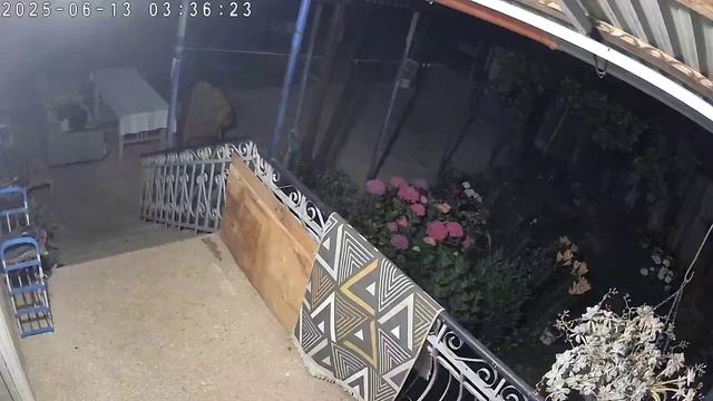 Абхазская ночь (птицы поют)