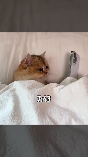 Как я встаю на работу