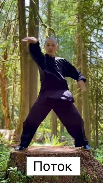 Чен ЦзяньФэн Поток Багуачжан