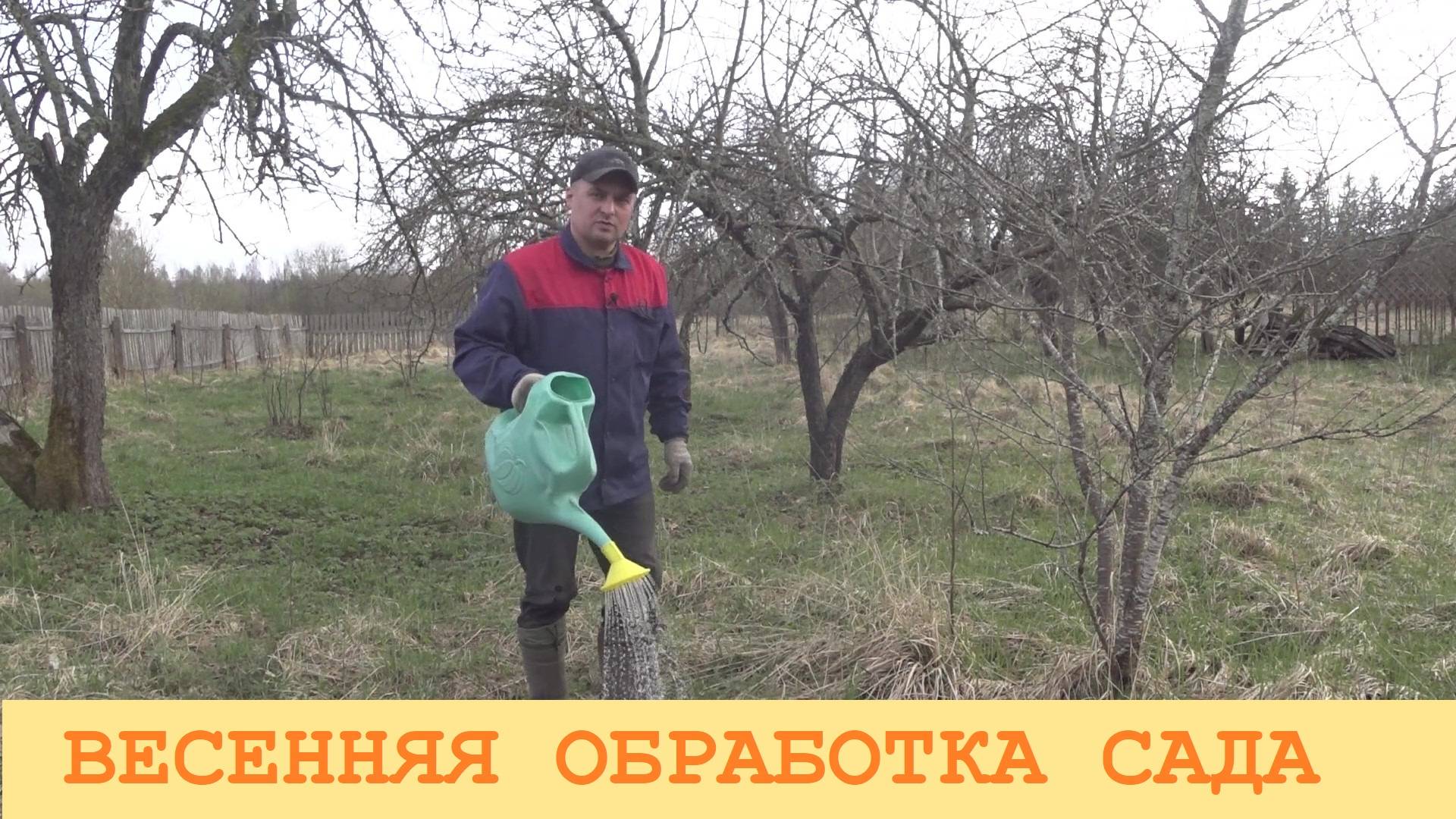 2025 Апрель. Забота о саде весной: подкормка и обработка