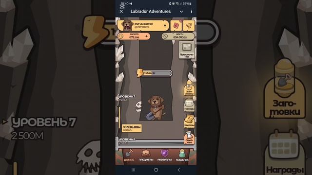 #labradoradventures   #labrador #лучшаяигра2025г #лидерборд #заработоквигре