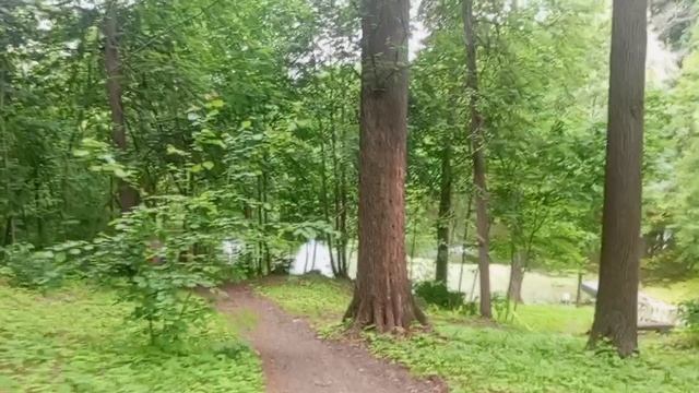 С Днём России 🇷🇺!!!Мы славно погуляли,отдохнули от семейных дел 👍