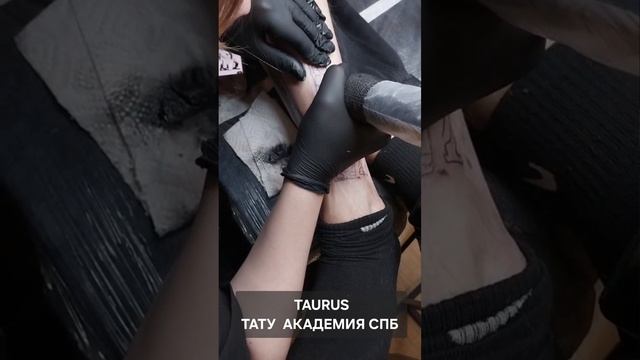 Тату АКАДЕМИЯ TAURUS СПБ #онлайн #тату #обучение Светлана ВЕДА