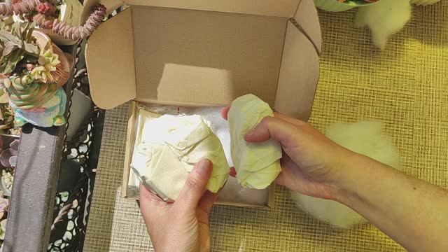 Посылка из далекой Бурятии. Коротенькая, но очень приятная распаковка суккулентов!