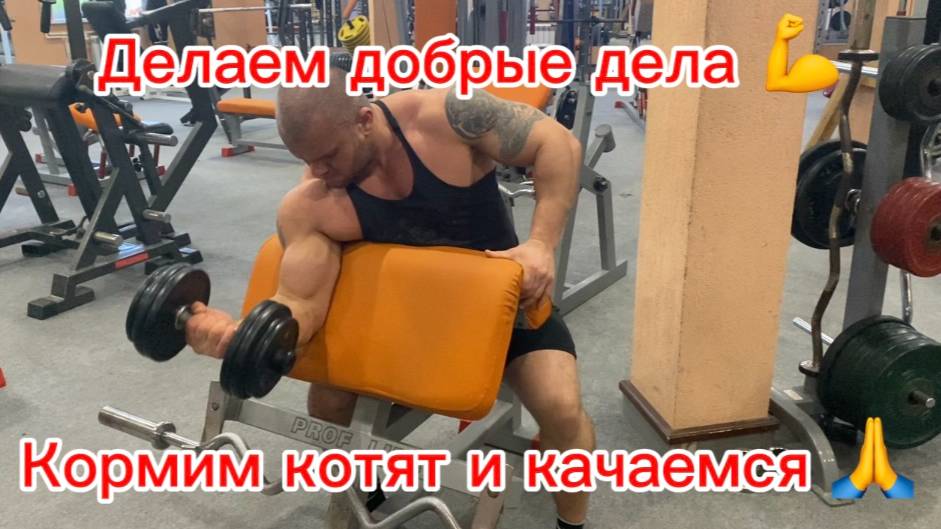 подготовка с тренером день 23