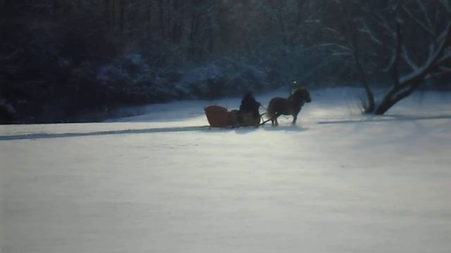 ЛОШАДЬ ВЕЗЕТ САНИ