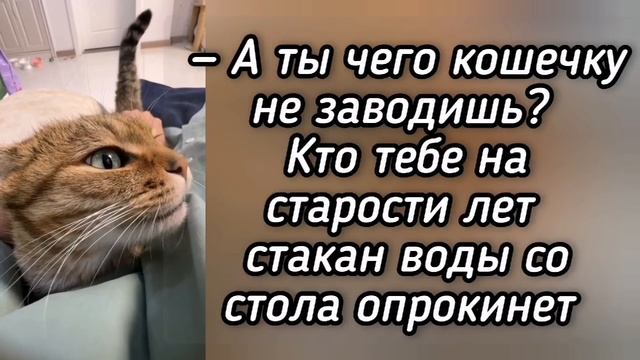 😜Анекдот из Сыктывкара