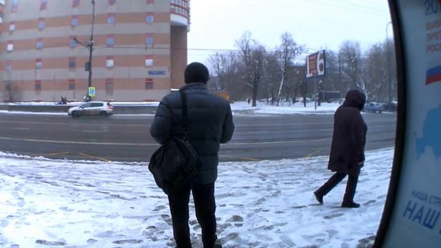 ОБЖОР ГРЫЗУ КРУПНЫЕ ОБЖАРЕННЫЕ СЕМЕЧКИ ''СТЕПАНОВНА'' НА ОСТАНОВКЕ ОБЩЕСТВЕННОГО ТРАНСПОРТА