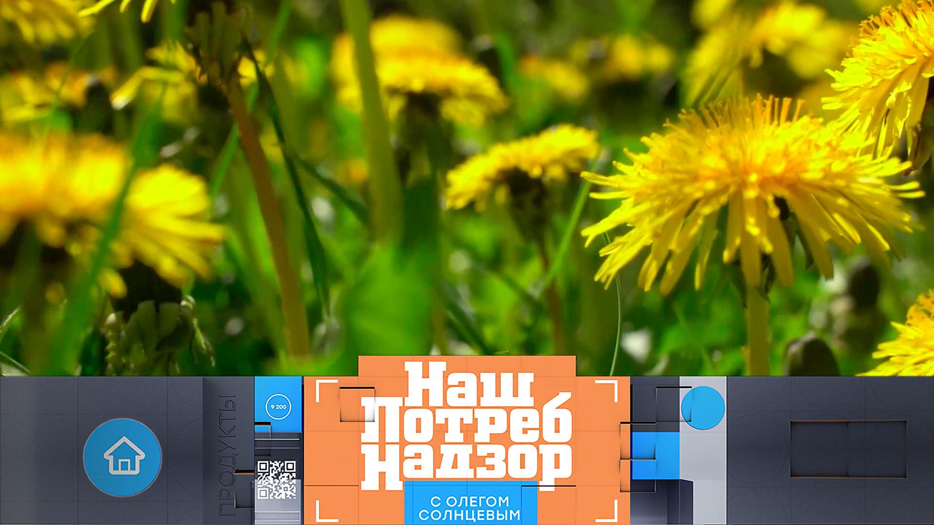 Сорняки-деликатесы, химикаты в пряниках и как спасаться от жары | «НашПотребНадзор» (15.06.2025)