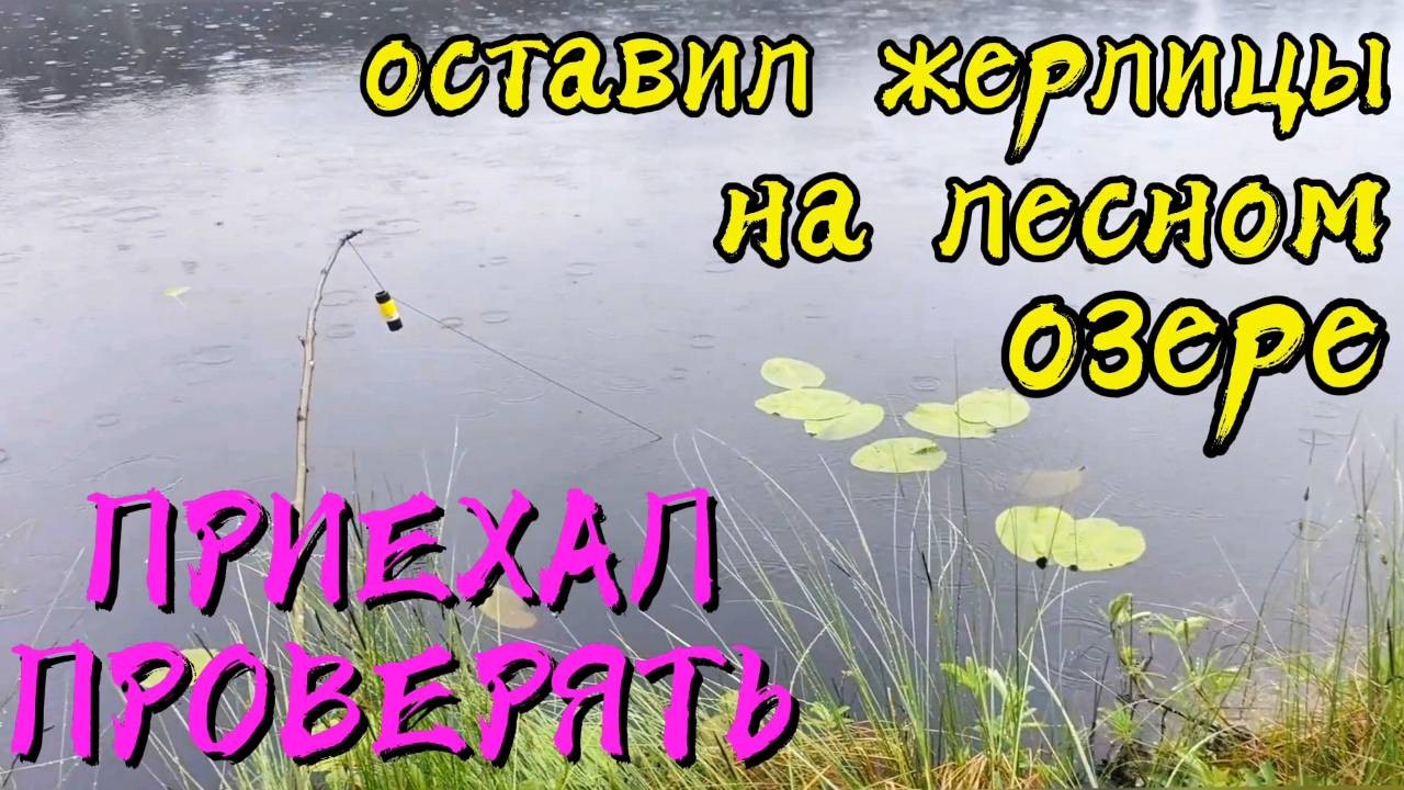 ОСТАВИЛ ЖЕРЛИЦЫ НА ЛЕСНОМ ОЗЕРЕ. ПРИЕХАЛ ПРОВЕРЯТЬ!