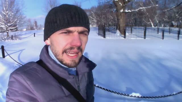 МИНИ ВЛОГ Снег в Москве  Гуляю в усадьбе Мороз и солнце день чудесный 01.02.2018