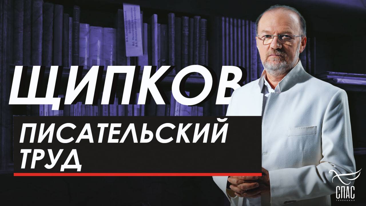 Писательский труд. Щипков № 355