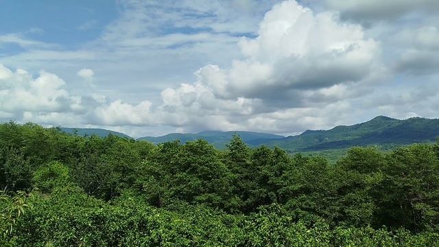 Мархяульский минеральный источник