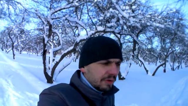 МИНИ ВЛОГ Снег в Москве Гуляю в усадьбе Зимний яблоневый сад 01.02.2018