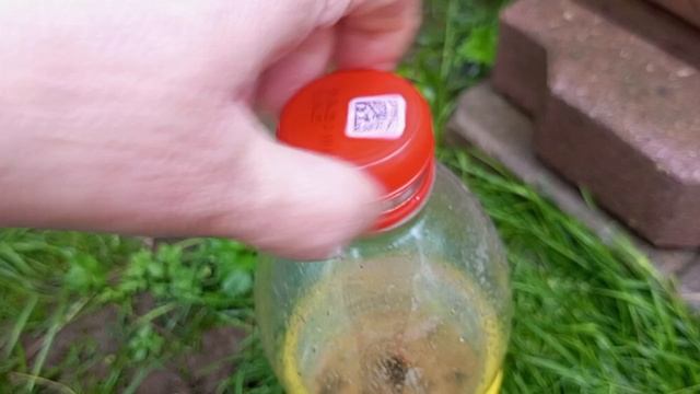 Дождик не смог отменить дела по дому.Приспособились.Появились непрошенные гости.