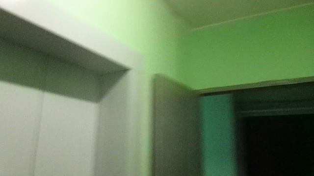 Лифты МЛМ-(NLM)-(ЛП-0401-(C STYLE l)) @ М.О. г. Видное, пр-кт Ленинского Комсомола, д. 19к2-3 (14)