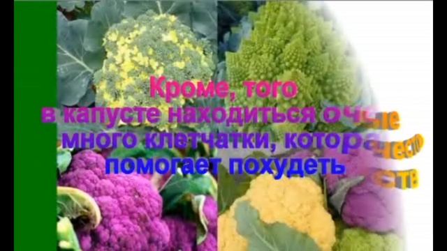 5 недорогих продуктов которые помогают сжечь жир, дешево и сердито.