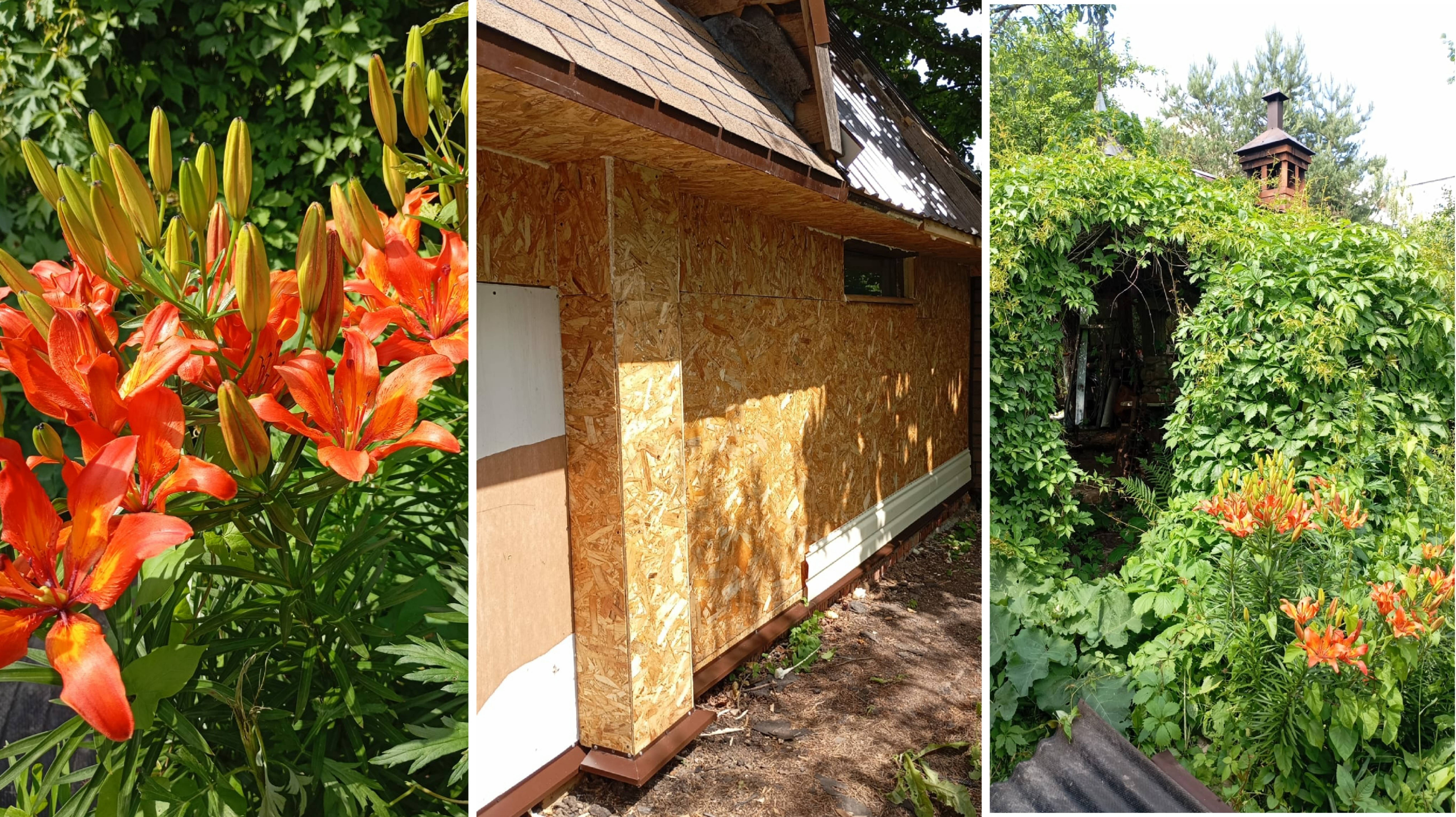 16.06.25 г. Отпуск подходит к концу. Скоро домой