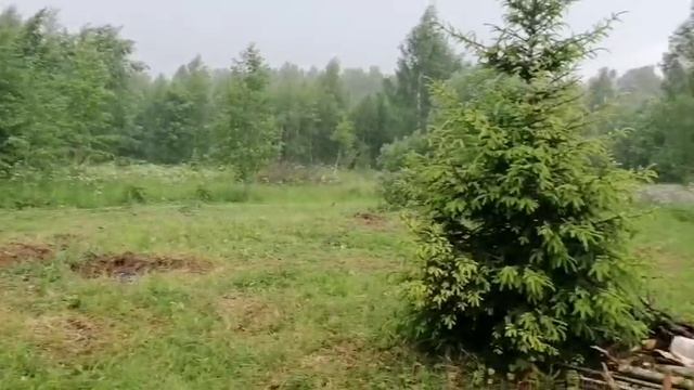 Дождь в Чисмене 16.06.25! Льет как из ведра! #6