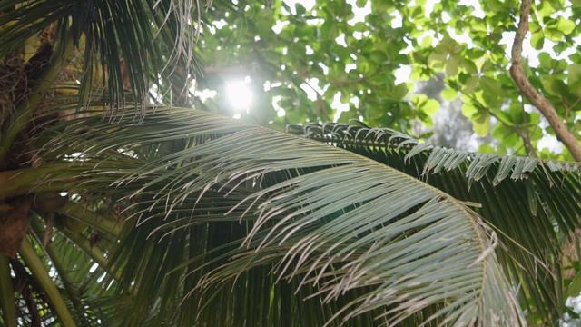 03. Thailand  2024 _ Cinematic Travel Video