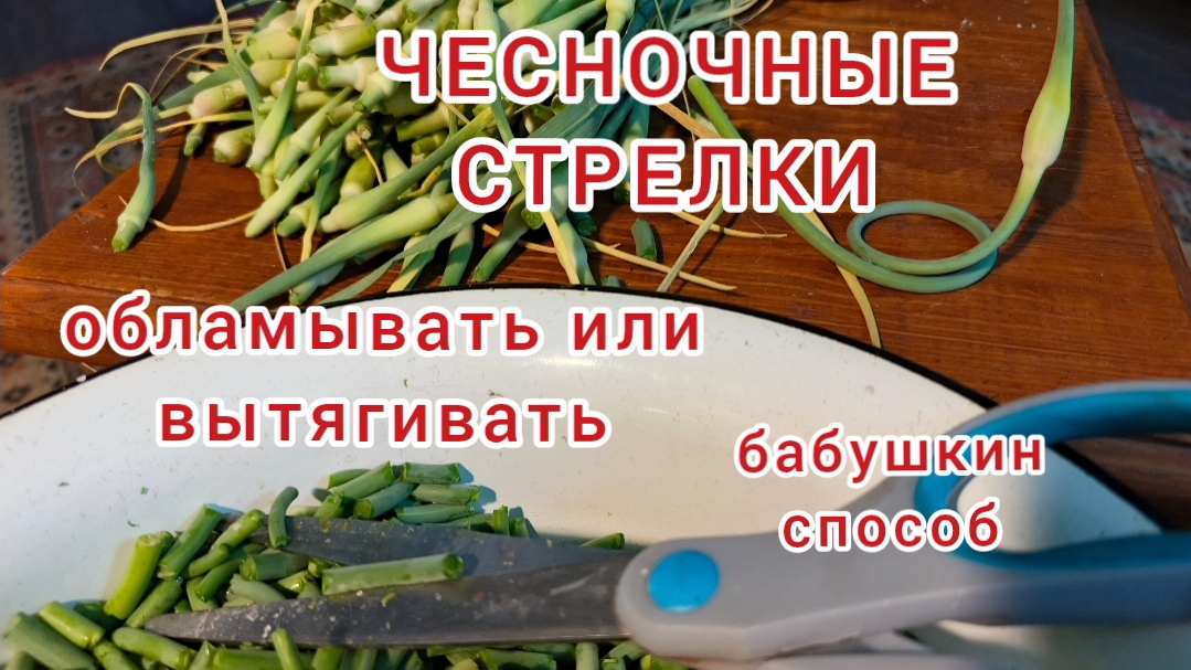 Чесночные стрелки.Вкусно и полезно