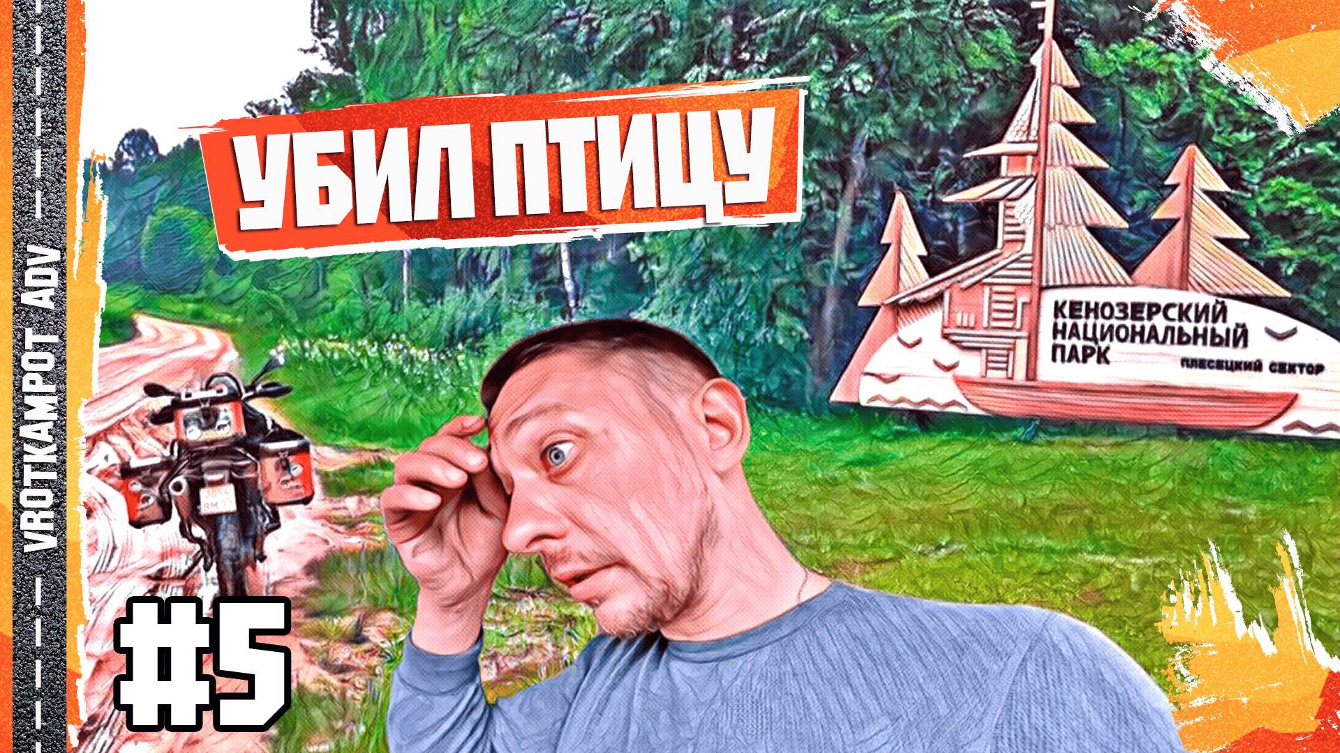 ПТИЦА В МОТОЦИКЛЕ! Неожиданный пассажир в мотопутешествии по Русскому Северу