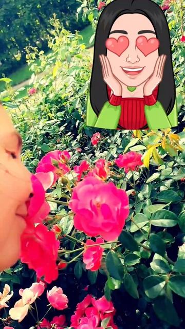 Разговоры с розами.