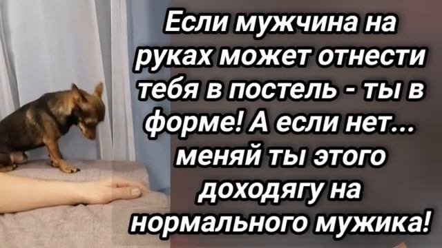 😜Анекдот из Сыктывкара