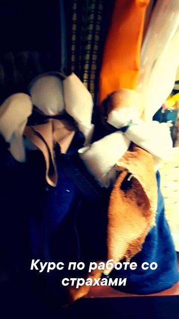 Лихоманки, куклы очищения