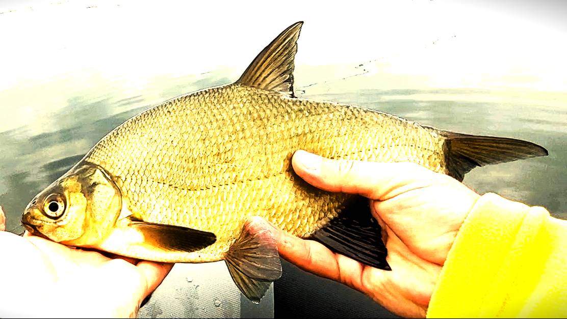 Бейткастинг. 17.06.2025