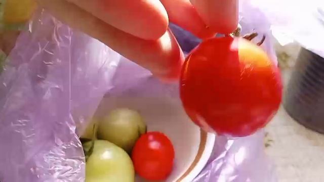 Помидоры. На подоконнике. Как выращивать. Дома, на окне. Сладкие. Балконный сорт. Удобрение. Рост