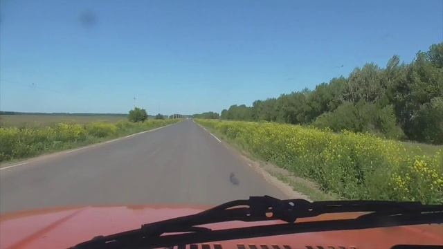 Мой фильм  Лебеди