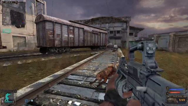 STALKER Тень Чернобыля Дикая территория