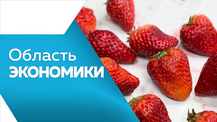 Область экономики 17.06.2025г.