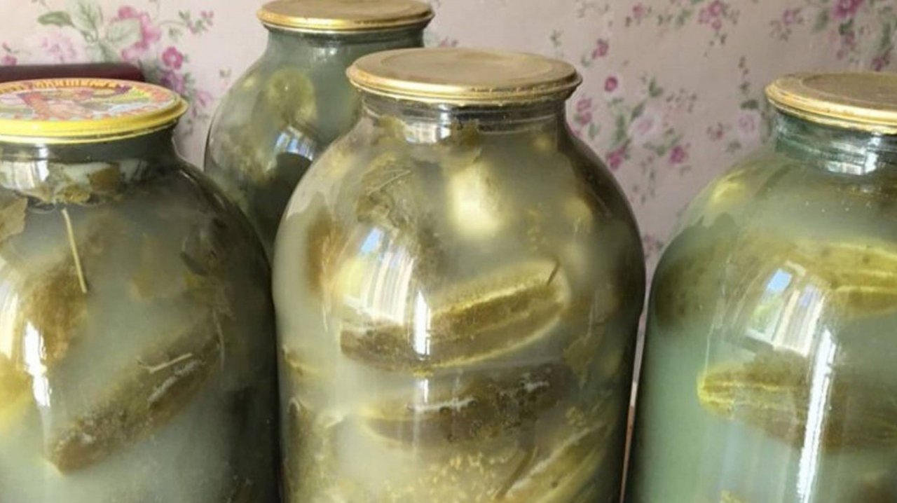 Что делать если помутнел рассол в огурцах. Спасаем огурцы 🥒