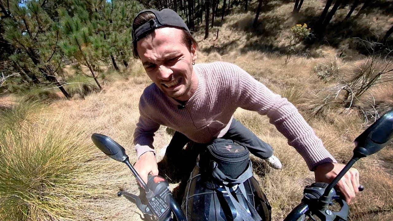 По мексиканским лесам