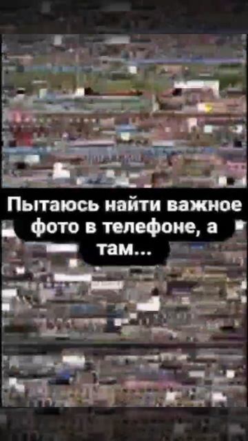 Кошка ЛАККИ 😸