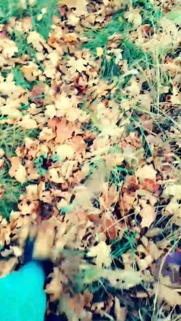 День шуршания листвой...