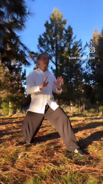 Чен ЦзяньФэн Намерение направляет энергию тайцзи