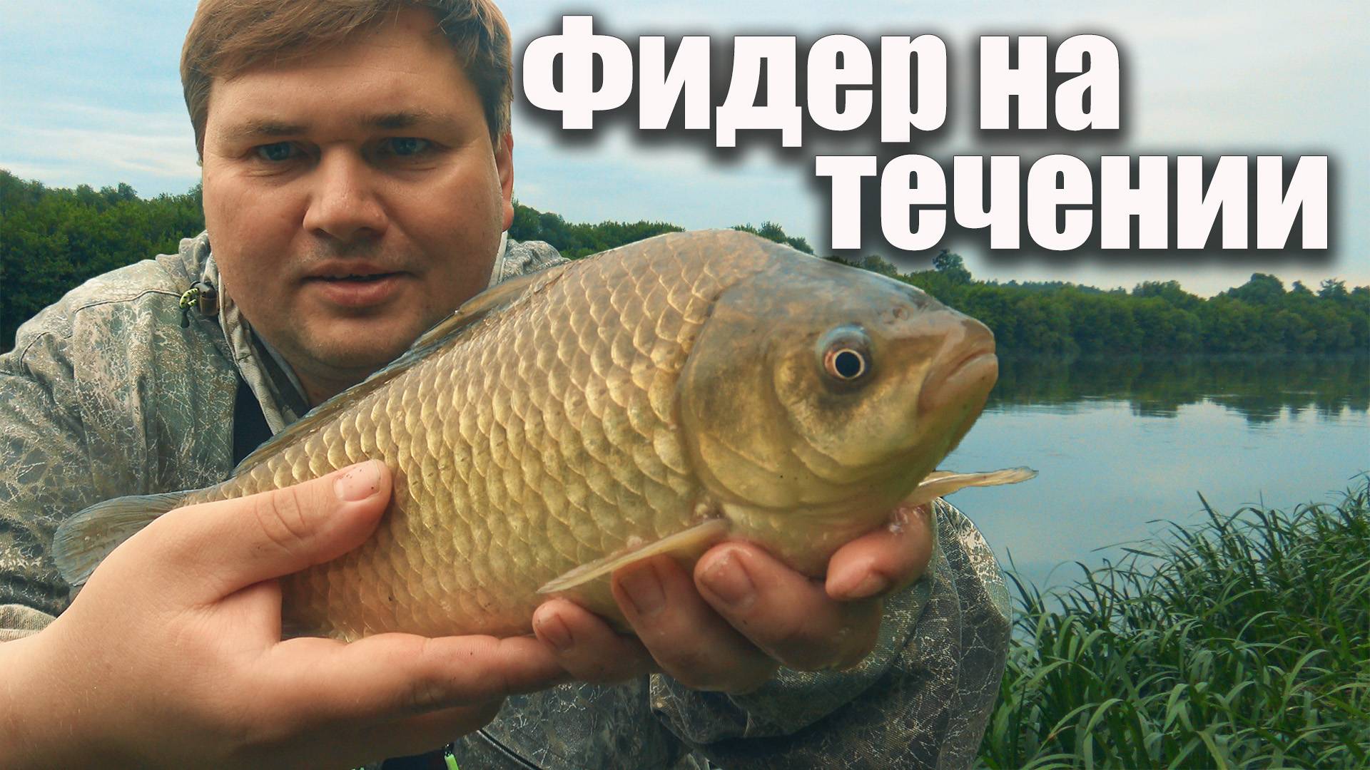 Фидерная рыбалка на Дону! Крупные караси и голавль в июне!🎣