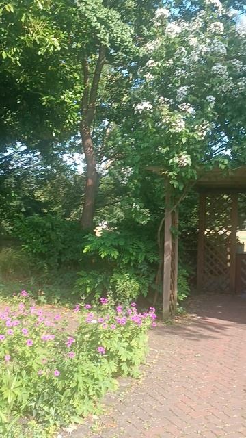 Лондон, парк Баттерси, Старый английский сад (London, Battersea Park, Old English Garden)