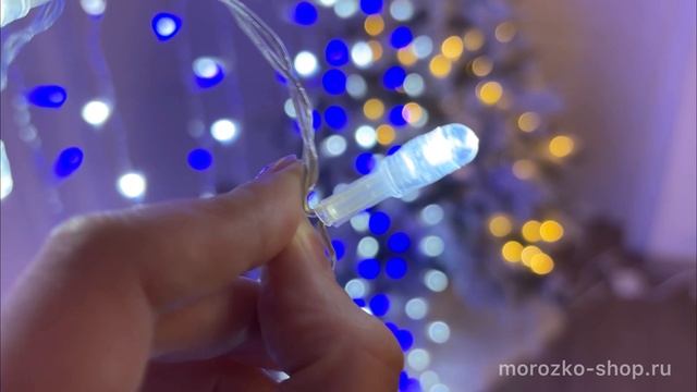 Светодиодный дождь 2.4*1.5 м, 500 холодных белых/синих LED ламп, прозрачный ПВХ, OLDCL500-BW-E