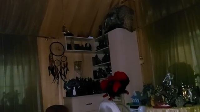 ВЕДЬМОЙ РОЖДАЮТСЯ