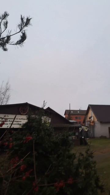 Питер, морозные комары