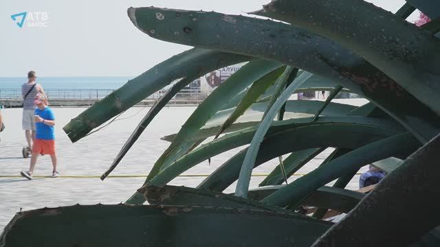 В Алуште начинает цвести АГАВА АМЕРИКАНСКАЯ.