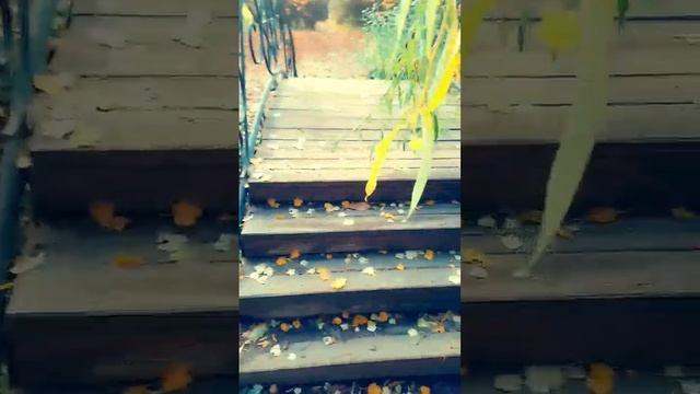 Ива - дерево женских слез