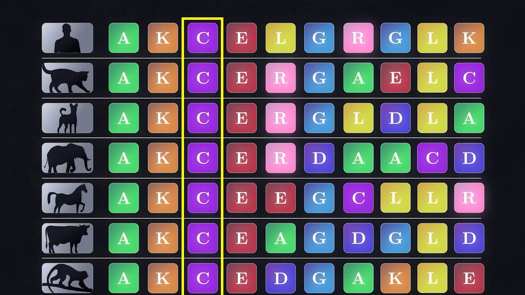 Как определили структуру 200 миллионов белков?