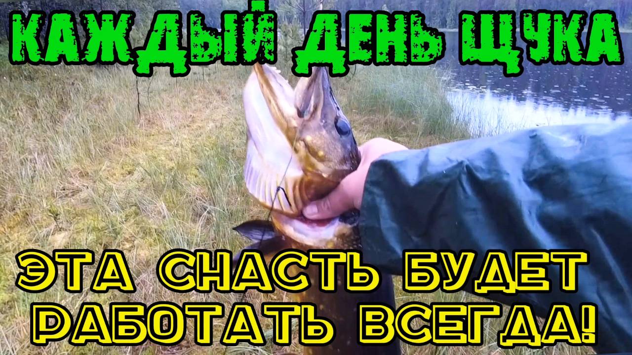Ловля щуки дедовским способом. Эта снасть на щуку будет работать всегда! Каждый день щука.